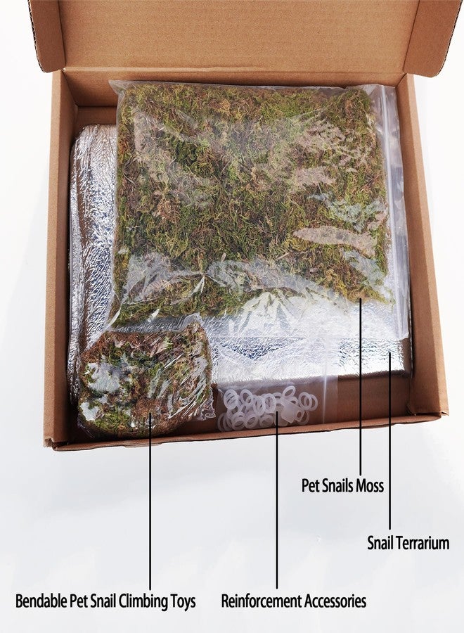 Begeterday Snail Terrarium Kit, Include 11.22 in x 7.87 in x 6 in Snail Terrarium，2.1oz Pet Snails Moss, 9 Inch Bendable Pet Snail Climbing Toys, Creating The Perfect Habitat for Your Cute - Image 4